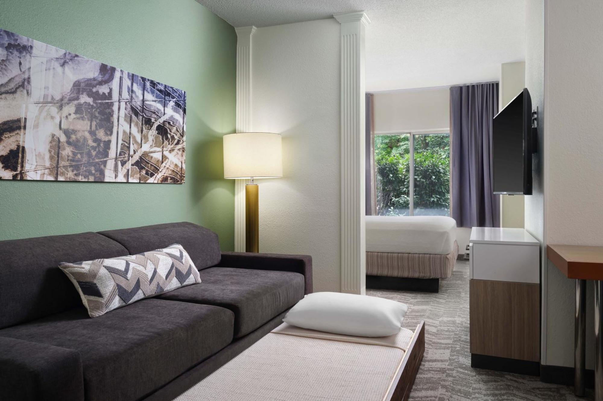 King Suite with Bathtub and Sofa Bed - Mobility Access/Hearing Accessible,1629895291:JPEG